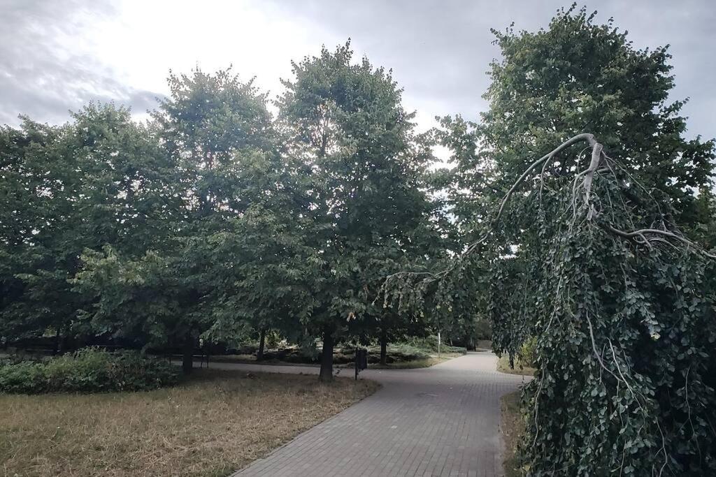Apartament Zielona Wiolinowa Warszawa Zewnętrze zdjęcie